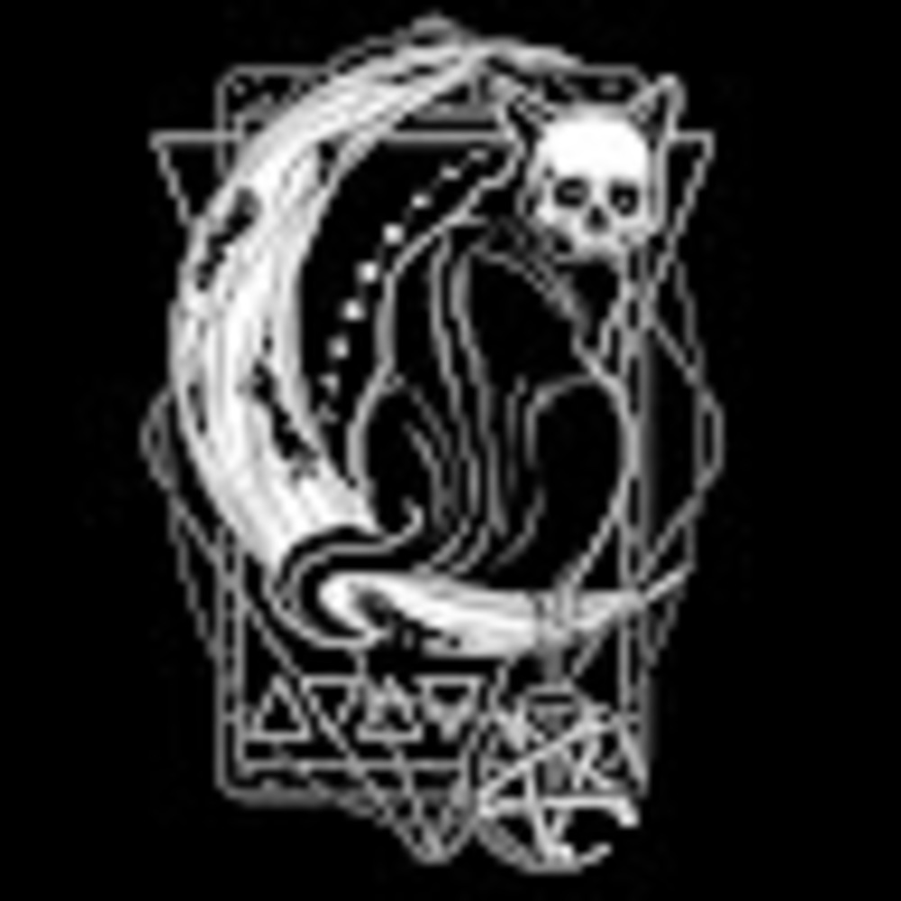 Meet your Posher, Cierra